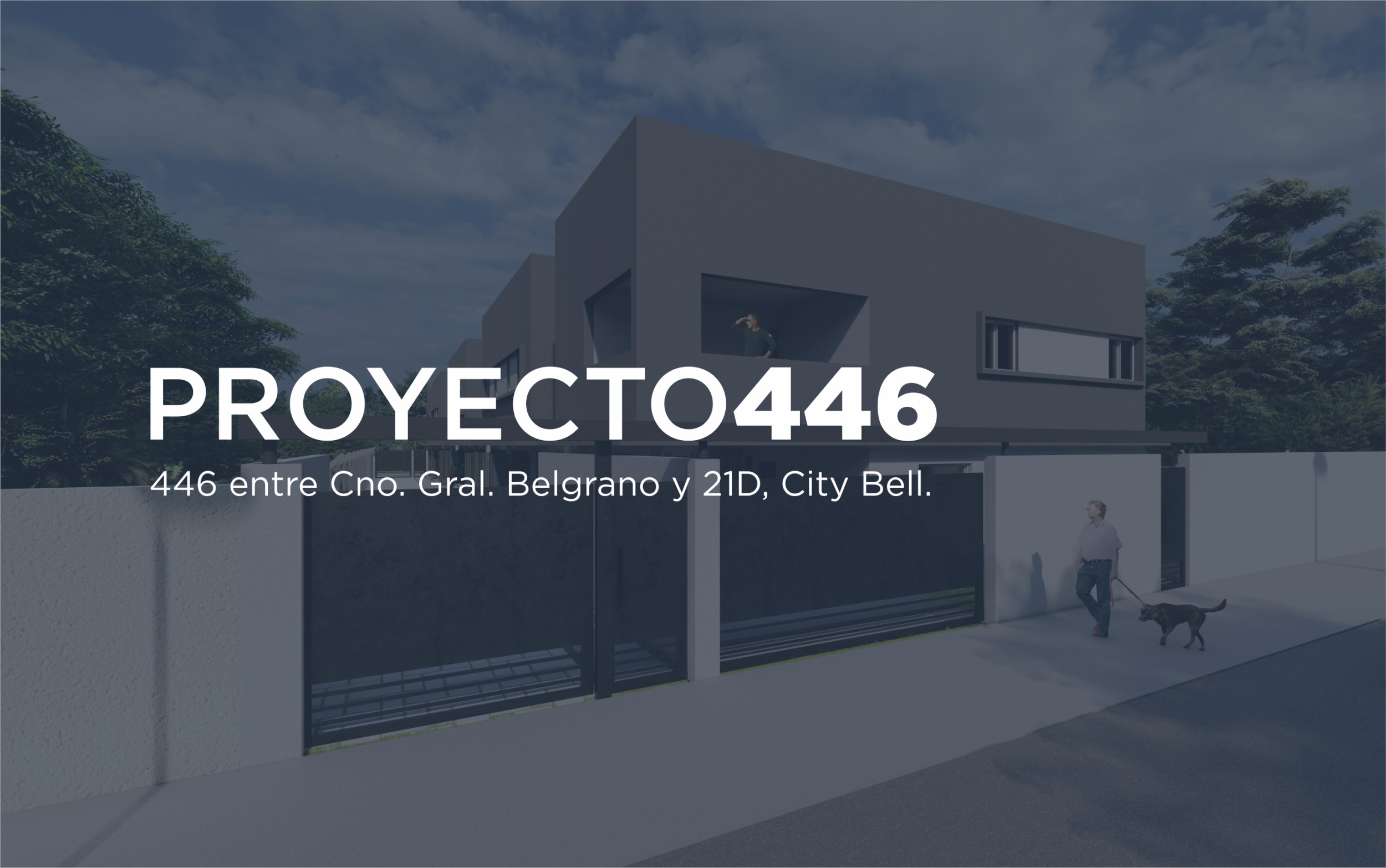 Proyecto 446